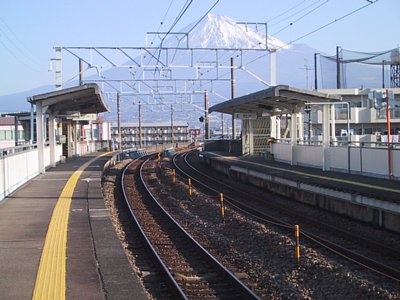 �z�[������̕x�m�R