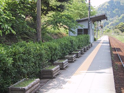 �P���w�z�[��