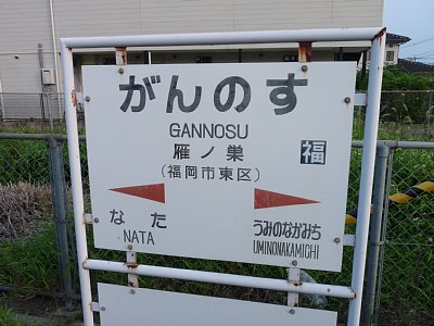 ��m���w�w���W