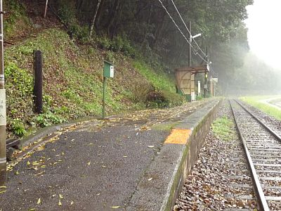 �C�H�w�z�[��