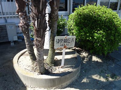 �ɐ����N�_�̊Ŕ�