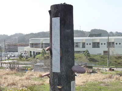 �����������˂̔�