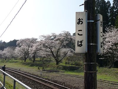 �w�\���̍�����