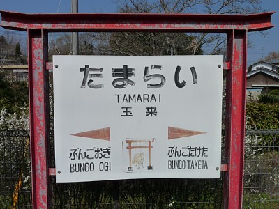 �ʗ��w�w���W