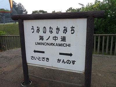 �C�m�����w�w���W